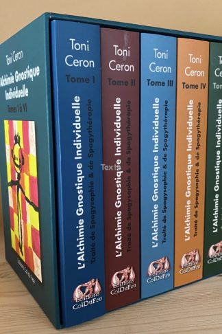 5 livres sur l'alchimie gnostique