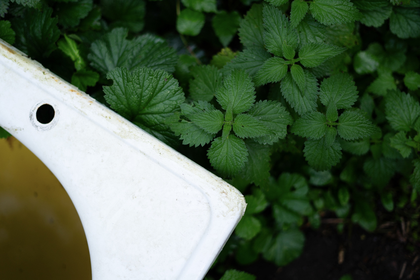 eaux-magiques-elixalp-spagyrie-élixirs-spagyriques-rosée