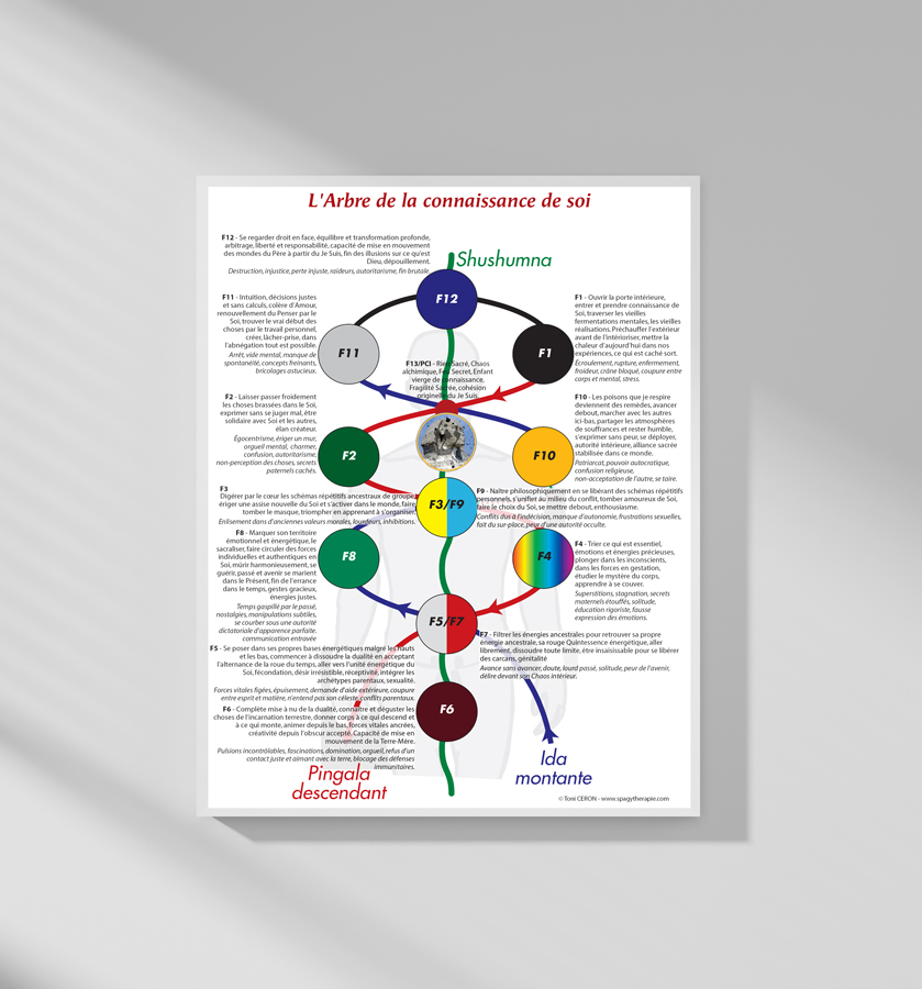 La connaissance de soi