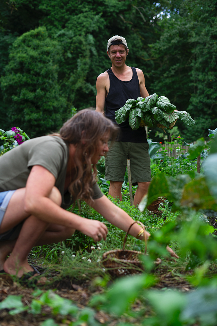 aurelie-ceron-jean-remy-ceron-elixalp-spagyrie-elixirs-spagyriques