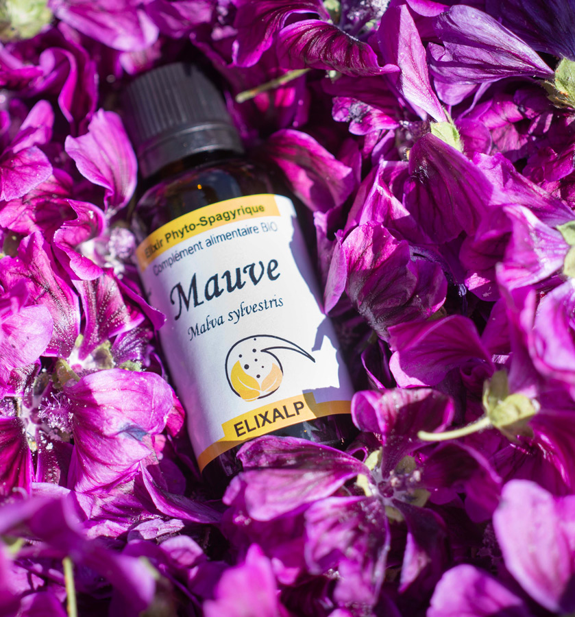 mauve-elixir-spagyrique-elixalp-ceron-spagyrie