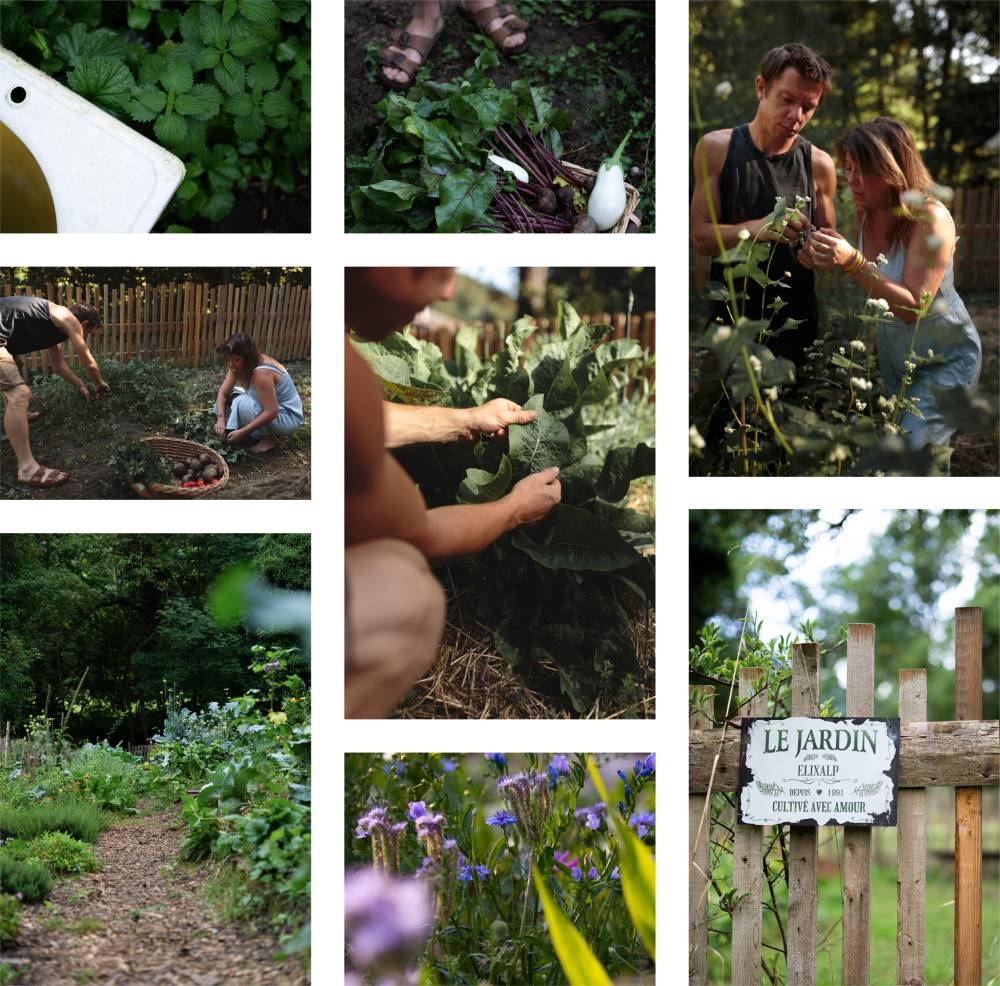 Elixalp : La Philosophie du Jardin Alchimique