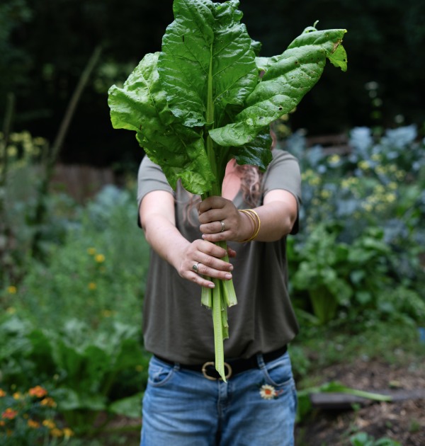 Elixalp : Nos engagements