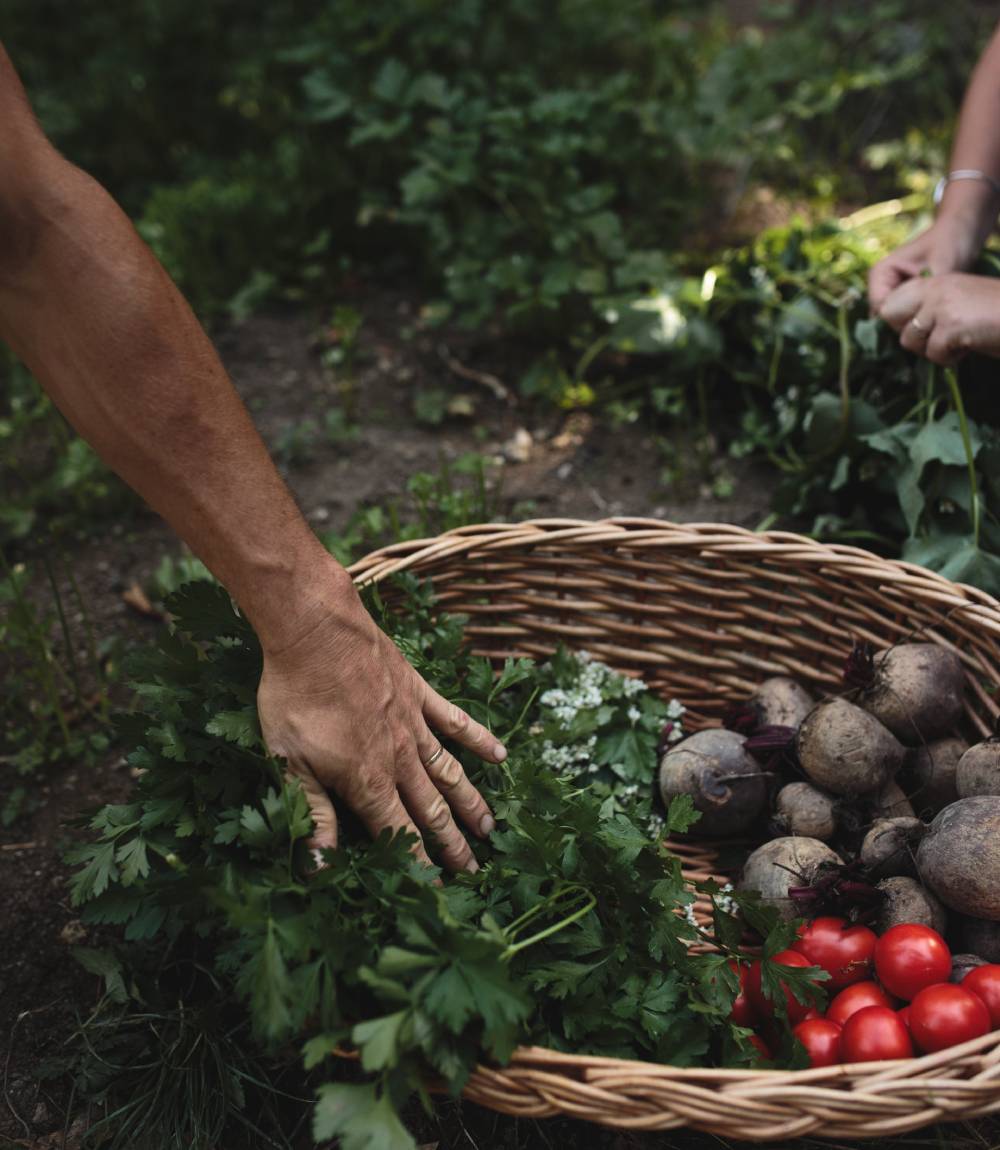 Elixalp : Respect pour le végétal