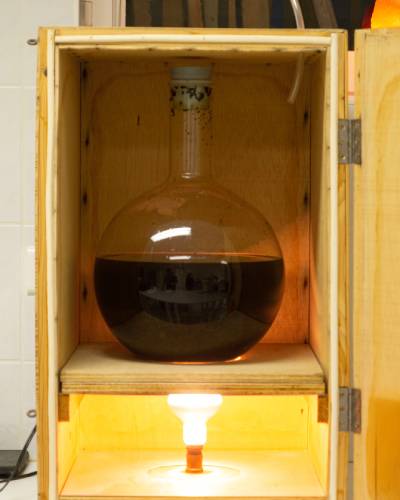 Elixalp : Réunification et maturation