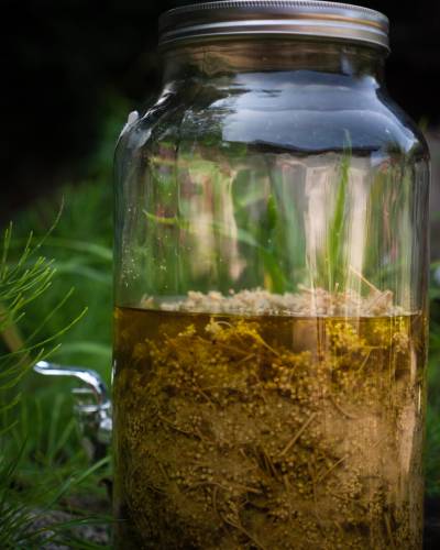 Elixalp : Sélection et fermentation