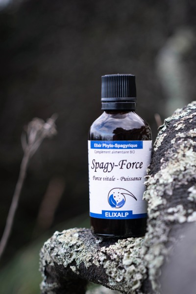 Vitalité - Sapgy force